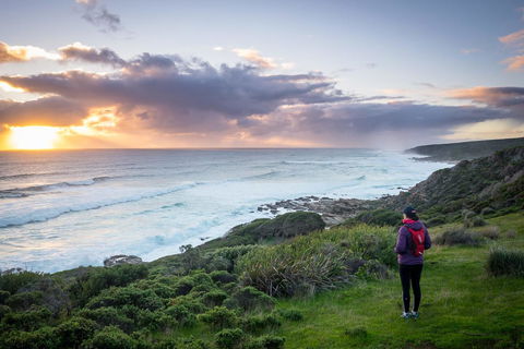 The Roozen Residence - Tourism TAS 32