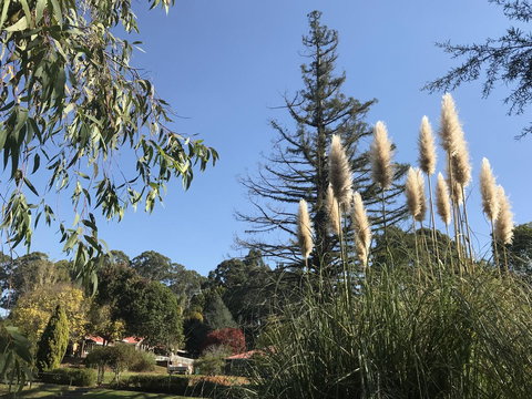 Forest Lodge Resort - Tourism TAS 24