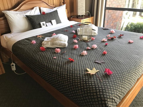 Forest Lodge Resort - Tourism TAS 3