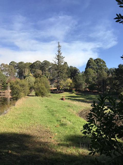 Forest Lodge Resort - Tourism TAS 31