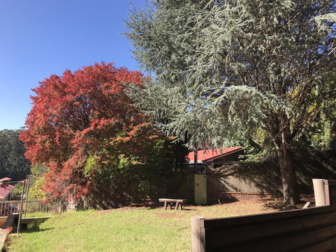 Forest Lodge Resort - Tourism TAS 42