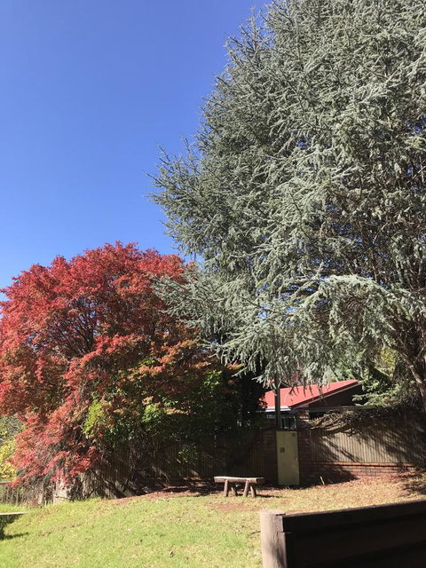 Forest Lodge Resort - Tourism TAS 35