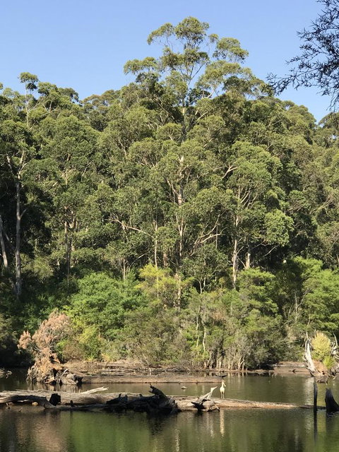 Forest Lodge Resort - Tourism TAS 22