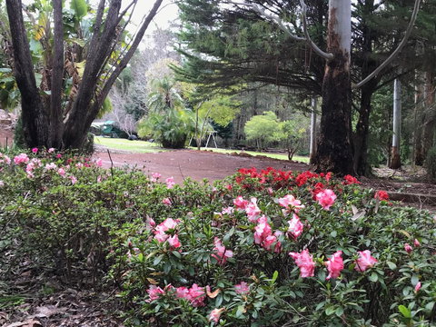 Forest Lodge Resort - Tourism TAS 12