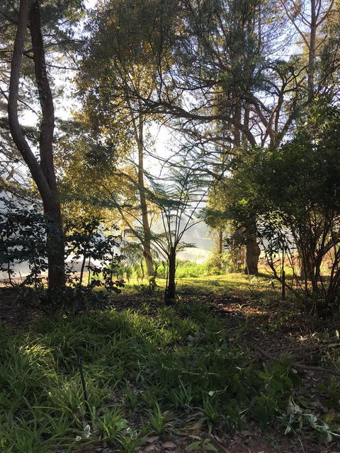 Forest Lodge Resort - Tourism TAS 33