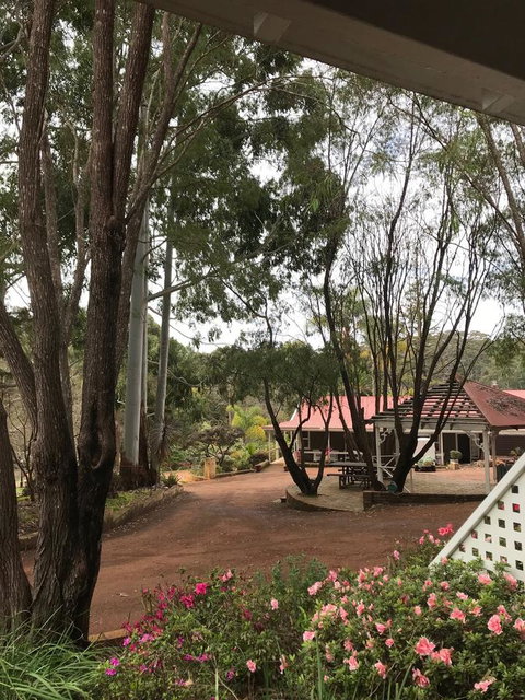 Forest Lodge Resort - Tourism TAS 9