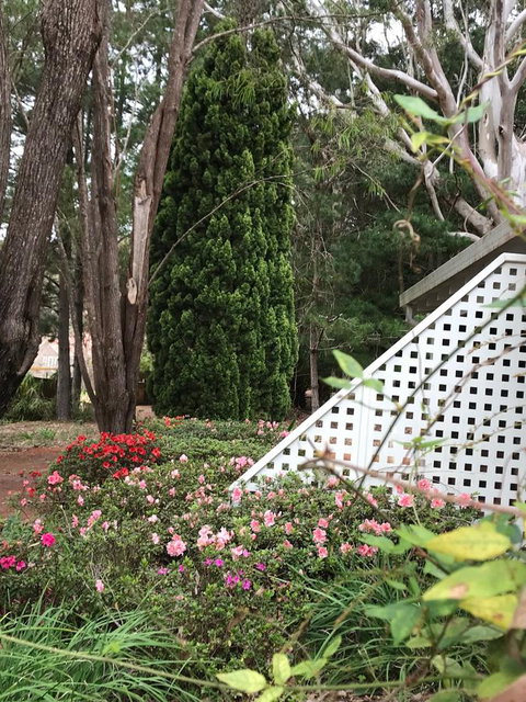 Forest Lodge Resort - Tourism TAS 7