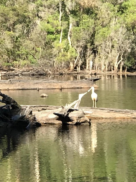 Forest Lodge Resort - Tourism TAS 25