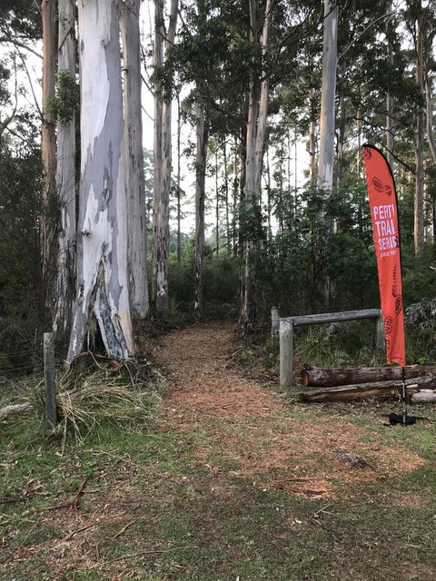 Forest Lodge Resort - Tourism TAS 28