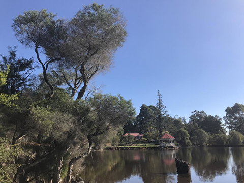 Forest Lodge Resort - Tourism TAS 36