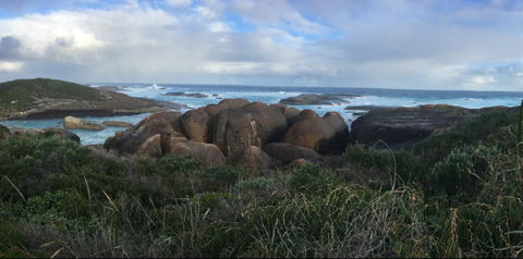 Blue House Denmark - Hobart Tourism 4