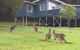 Blue House Denmark - thumb 0