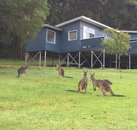 Blue House Denmark - Hobart Tourism