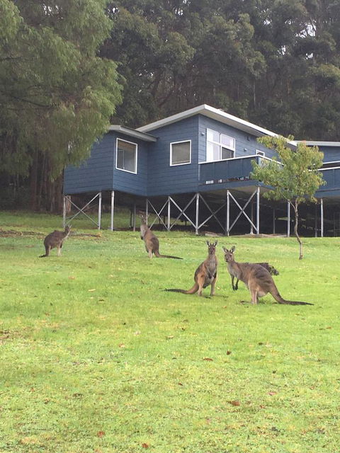 Blue House Denmark - Hobart Tourism 0