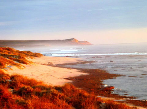 Kanga Cottage - Tourism TAS 26