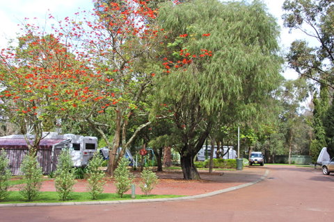 Margaret River Tourist Park - Tourism TAS 43
