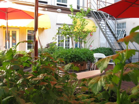 European Hotel - Tourism TAS 9