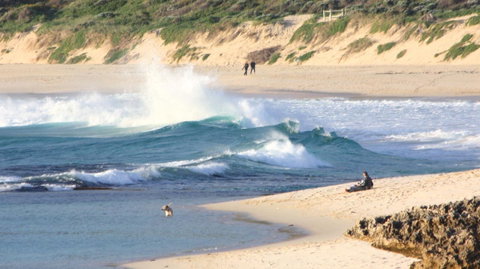 Riverview Tourist Park - Tourism TAS 34
