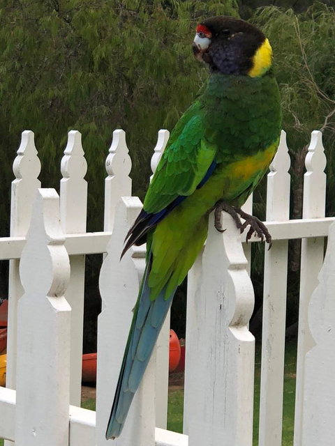 Riverview Tourist Park - Tourism TAS 20
