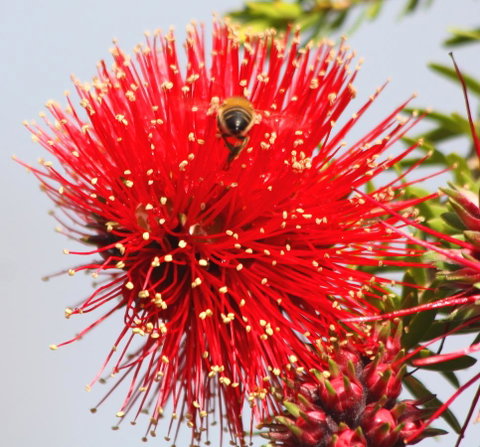 Riverview Tourist Park - Tourism TAS 36
