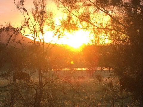 Grapevines Boutique Accommodation - Hobart Tourism 27