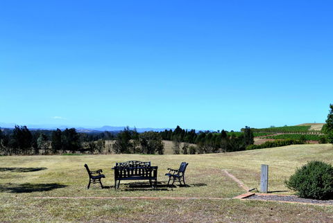 Grapevines Boutique Accommodation - Hobart Tourism 18