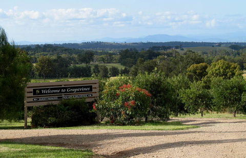 Grapevines Boutique Accommodation - Hobart Tourism 15