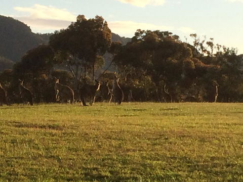 Grapevines Boutique Accommodation - Hobart Tourism 26