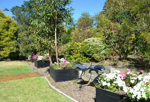 Grapevines Boutique Accommodation - Hobart Tourism 17