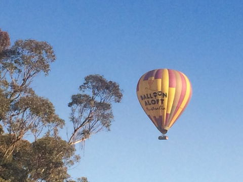Grapevines Boutique Accommodation - Hobart Tourism 12