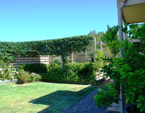 Grapevines Boutique Accommodation - Hobart Tourism 14