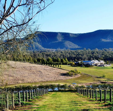 Grapevines Boutique Accommodation - Hobart Tourism 5