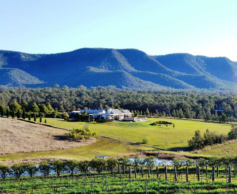 Grapevines Boutique Accommodation - Hobart Tourism 0