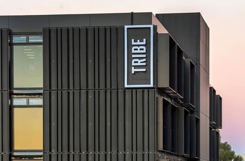 Tribe Perth - Hobart Tourism 1