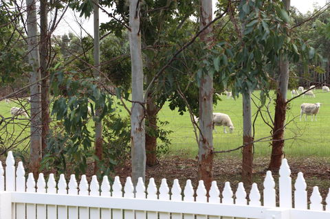 Sapphire Chalets, Augusta - Hobart Tourism 9
