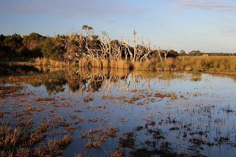 Sapphire Chalets, Augusta - Hobart Tourism 13
