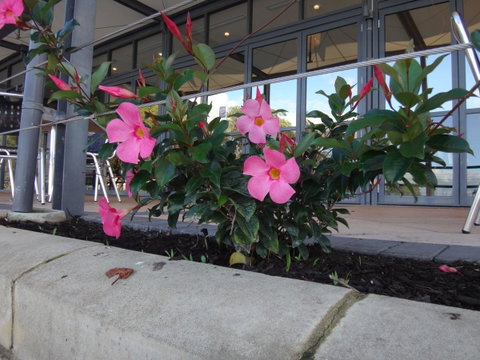 Mandurah Quay Resort - Tourism TAS 34