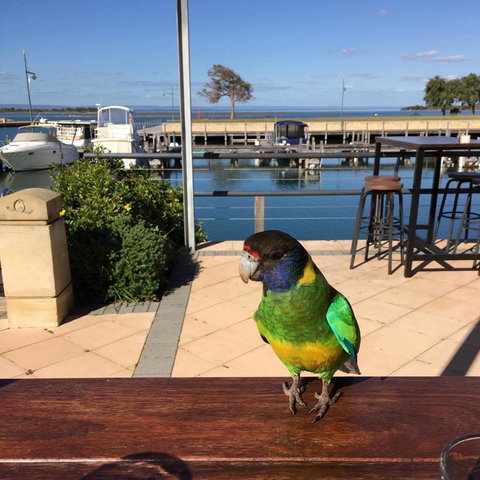 Mandurah Quay Resort - Tourism TAS 32