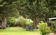 Peppermint Brook Cottages - thumb 14