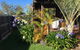 Bella Bali Gardens - thumb 10