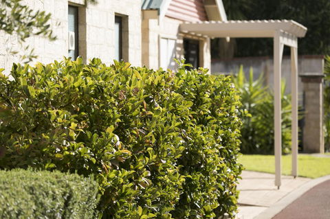 Amalfi Resort - Hobart Tourism 9