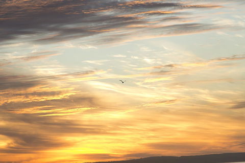 Amalfi Resort - Hobart Tourism 6