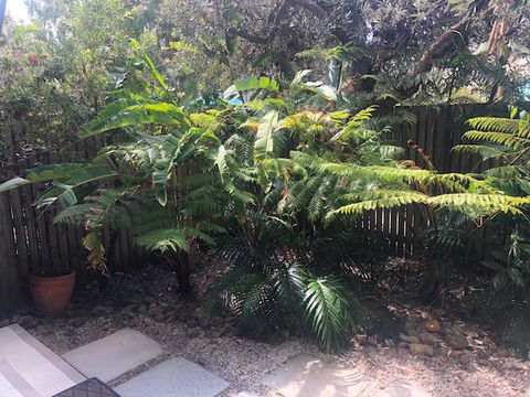 East On Byron - Tourism TAS 40