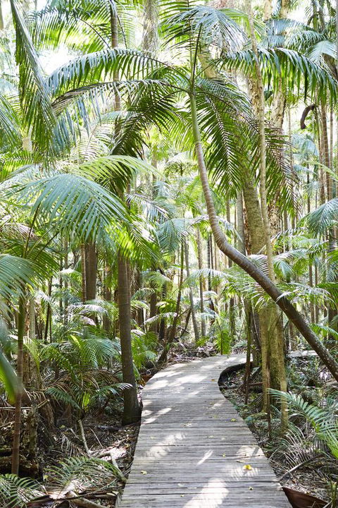 Crystalbrook Byron - Tourism TAS 26