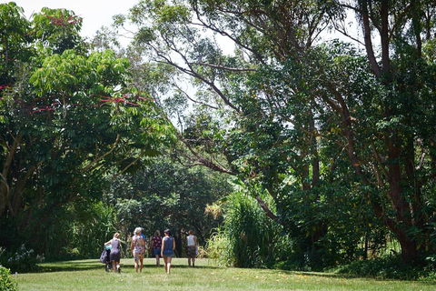 Ingenia Holidays Byron Bay - Tourism TAS 11