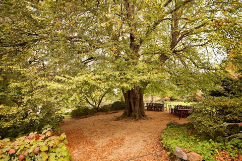Nesuto Leura Gardens (formerly Waldorf Leura Gardens Resort) - Tourism TAS 1