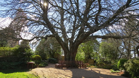 Nesuto Leura Gardens (formerly Waldorf Leura Gardens Resort) - Tourism TAS 3