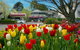Nesuto Leura Gardens (formerly Waldorf Leura Gardens Resort) - thumb 0