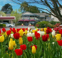 Nesuto Leura Gardens formerly Waldorf Leura Gardens Resort - Tourism TAS