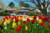 Book Leura Accommodation Vacations Tourism TAS Tourism TAS